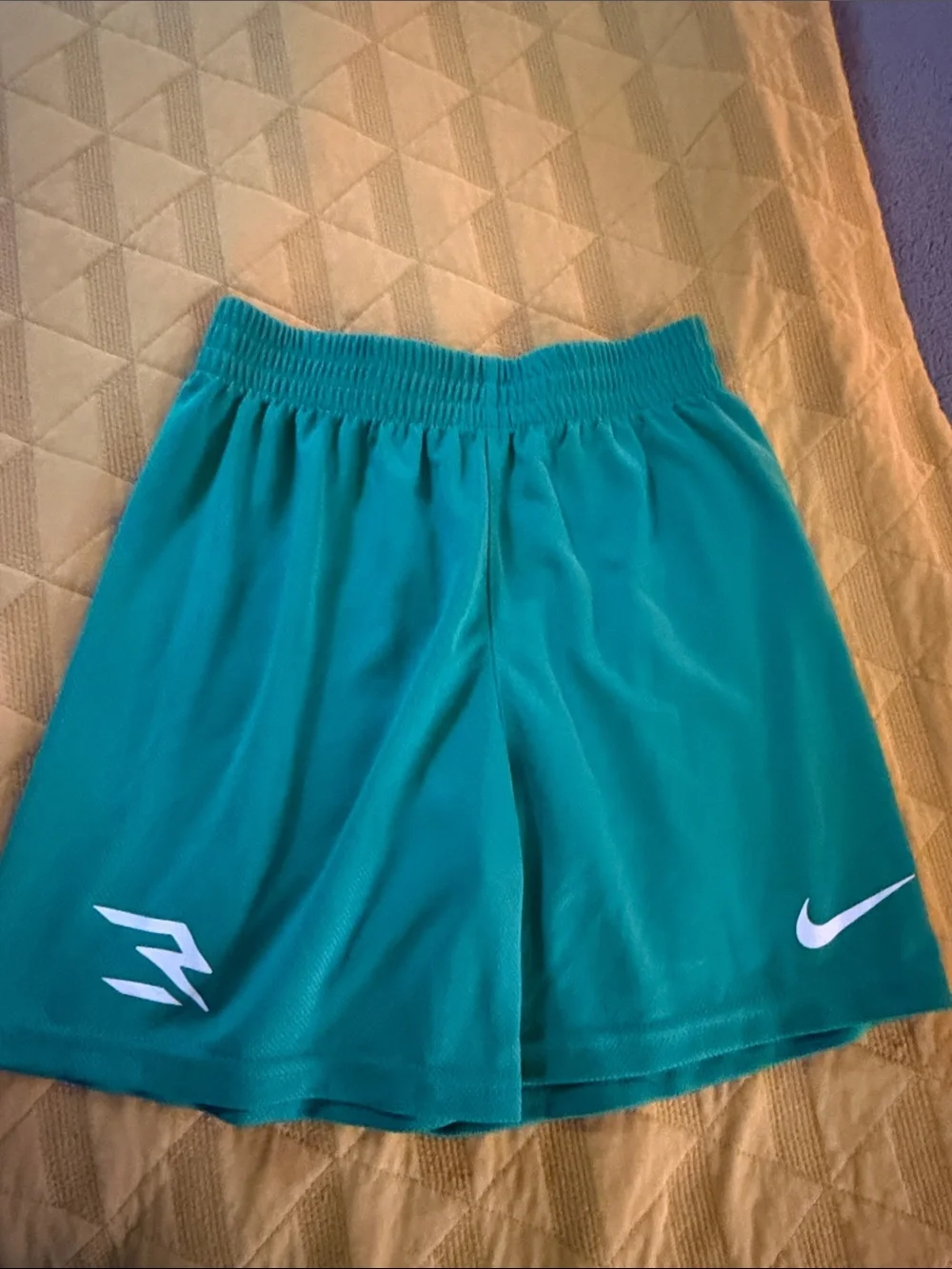 Nike Boy’s Kelly Green Athletic Training Shorts with White Swoosh